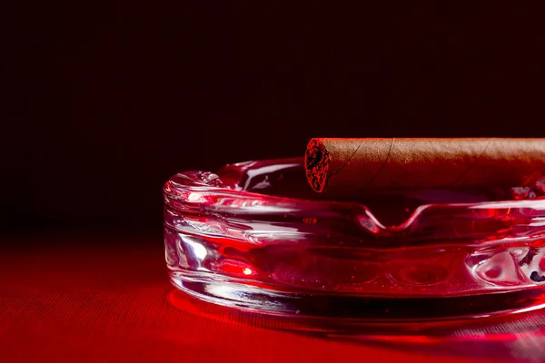 Bruin sigaar — Stockfoto