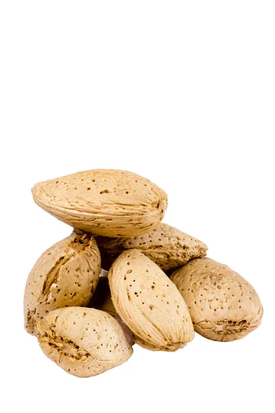 Almond Nuts — Stock Photo, Image