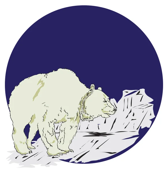 Білий ведмідь — стоковий вектор