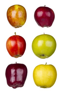Six Different Apples clipart