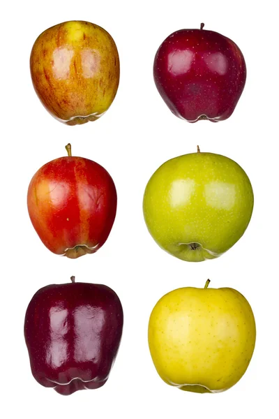 Altı farklı elma — Stok fotoğraf