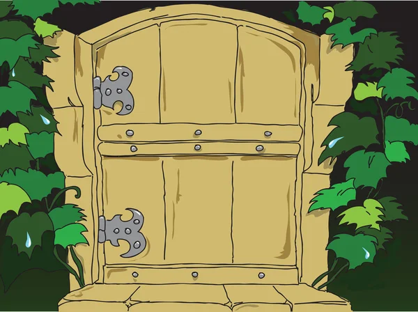 Eine alte Tür — Stockvektor