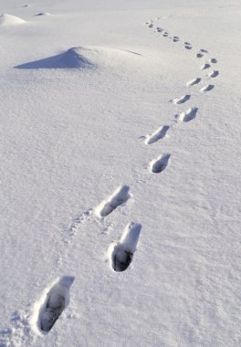 Human footprints in snow clipart