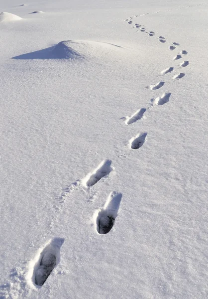 Menschliche Fußabdrücke im Schnee — Stockfoto