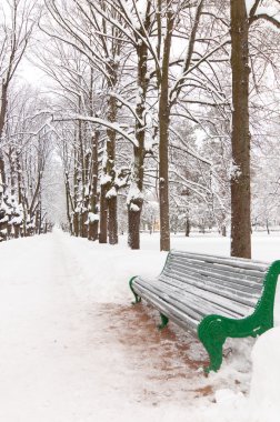 karlı park