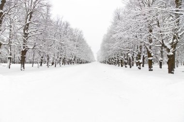 karlı park