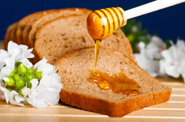 Cuillère à miel — Photo