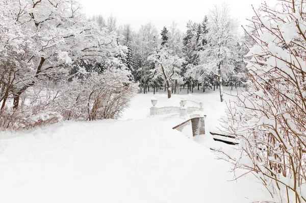 Parque nevado de invierno — Foto de Stock
