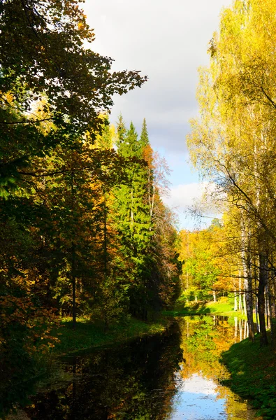 Beautiful autumn lake — Stock Photo, Image