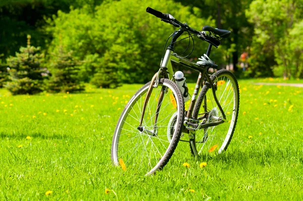 Bicycle on grass — Stock Photo, Image