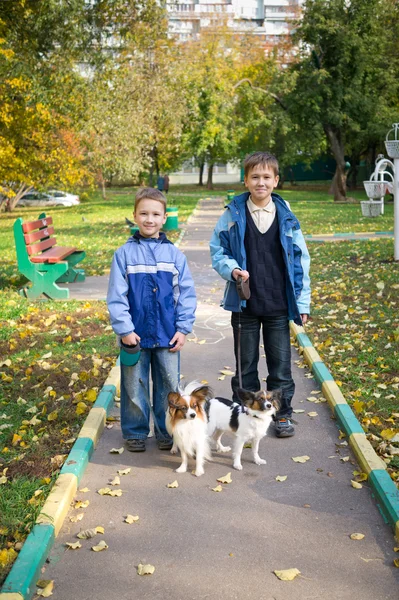 Два хлопчики з собаками — стокове фото