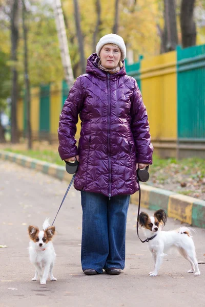 Woman with the dogs — Stock Photo, Image