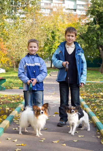 两个男孩与狗 — 图库照片
