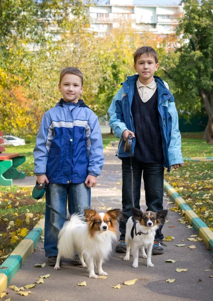 Two boys with dogs — Stock Photo, Image