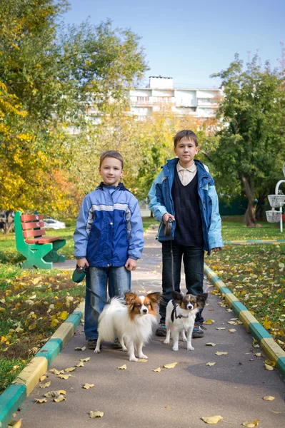 Två pojkar med hundar — Stockfoto