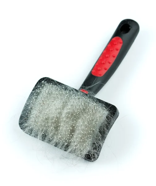 Pet grooming brush — Stock Photo, Image