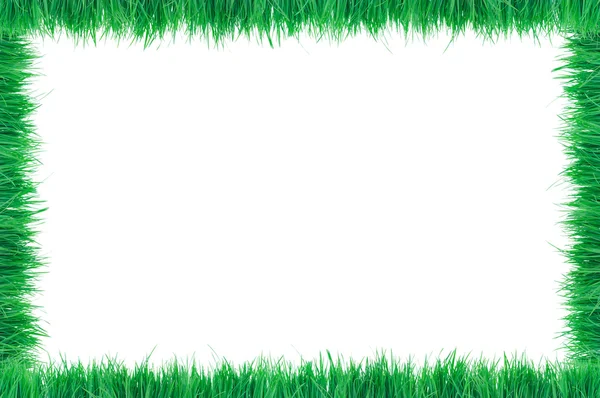 Травяная граница — стоковое фото