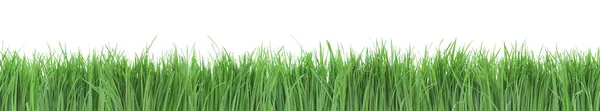 Nahtlos grünes Gras. — Stockfoto