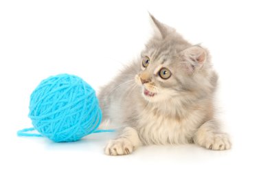 Cat with ball of yarn clipart