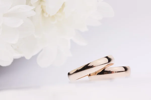 Flores blancas y anillos de boda — Foto de Stock