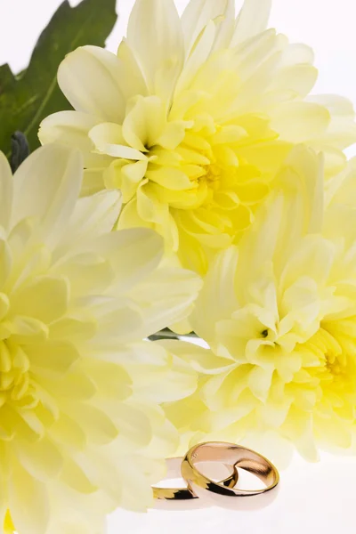 Gelbe Blumen und Trauringe — Stockfoto