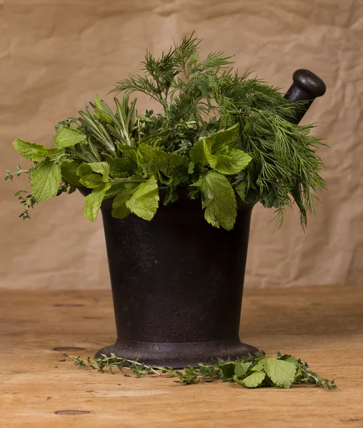 Green spices in old cast-iron mortar — Stock Photo, Image