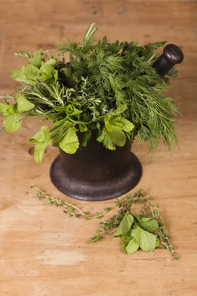 Groene kruiden in oude gietijzeren mortel — Stockfoto