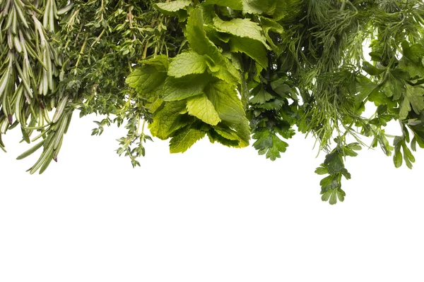 Aromatyczne zioła — Zdjęcie stockowe