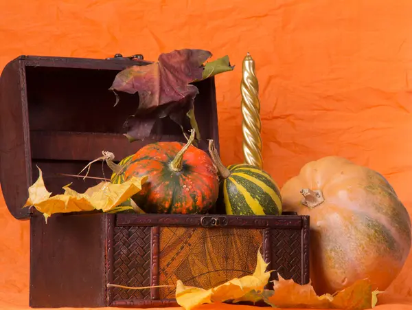 Background halloween — Stock Photo, Image