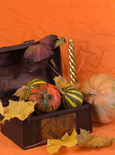 Background halloween — Stock Photo, Image