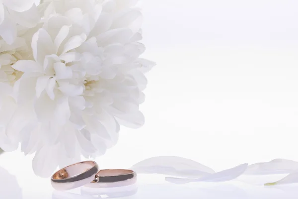 白色的花和结婚戒指 — 图库照片