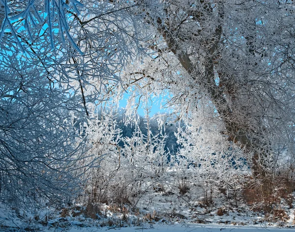 Paisaje invierno 2 — Foto de Stock