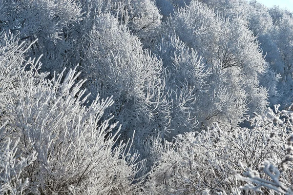 Зимний пейзаж 3 — стоковое фото