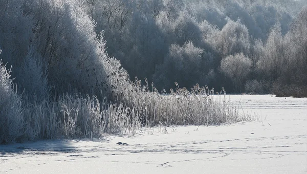 Зимний пейзаж 1 — стоковое фото