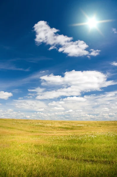 El sol en el cielo azul sobre el prado floral . — Foto de Stock