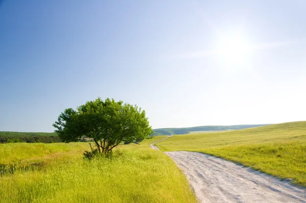 Дорога на зеленом лугу — стоковое фото