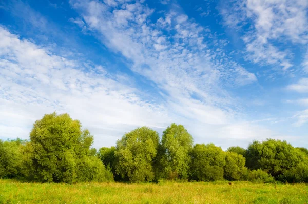 Yeşil çayır üzerinde mavi gökyüzü. — Stok fotoğraf