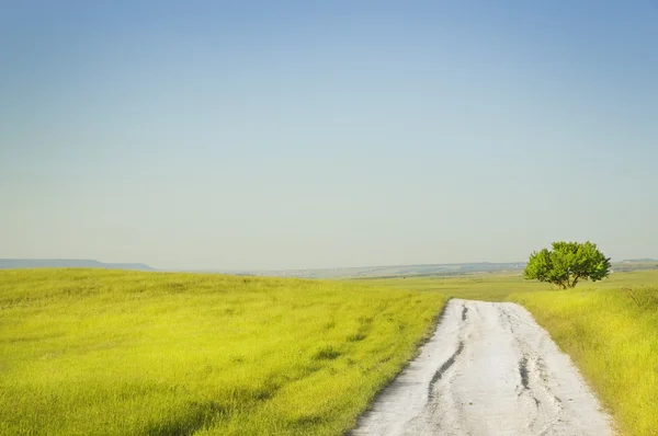 Дорога на зеленом лугу — стоковое фото