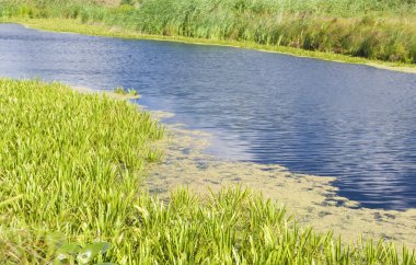 ahşap lake