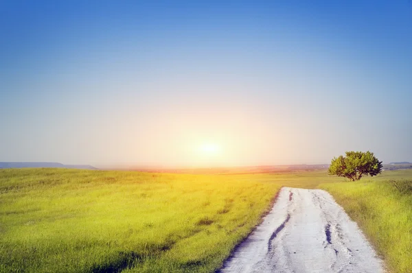 Road on green meadow — Stock Photo, Image