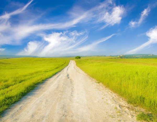 緑の牧草地の中の道 — ストック写真