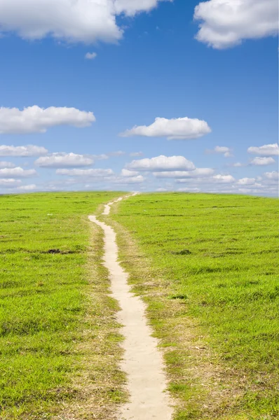 Road on green meadow — Stock Photo, Image