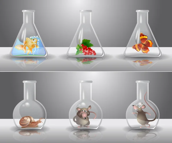 Laboratory flasks with different living organisms inside — Stock Vector
