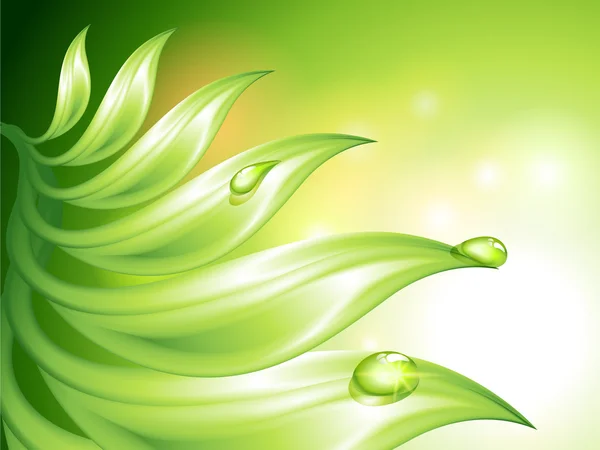 Abstrakter grüner Hintergrund mit Blättern und Wassertropfen — Stockvektor