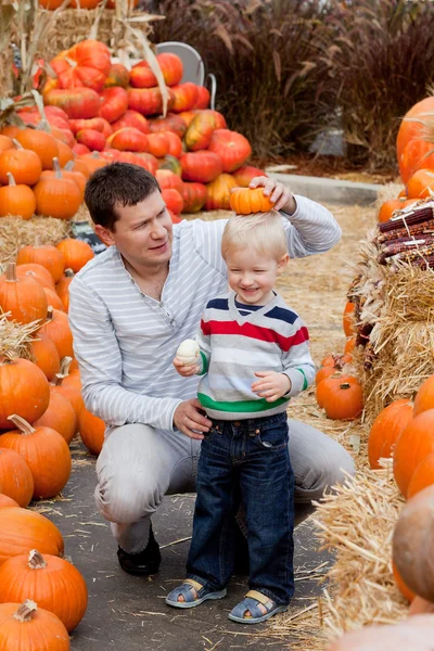 Family at the pumpkin patch — Stock Photo, Image