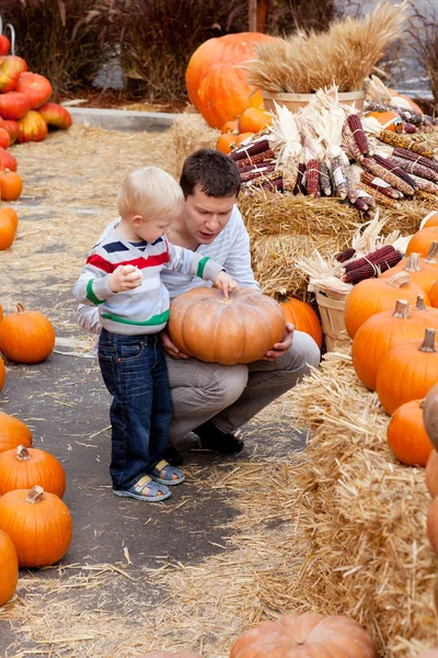 Family at the pumpkin patch — Stock Photo, Image