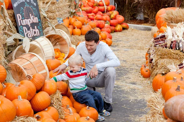Rodziny na pumpkin patch — Zdjęcie stockowe