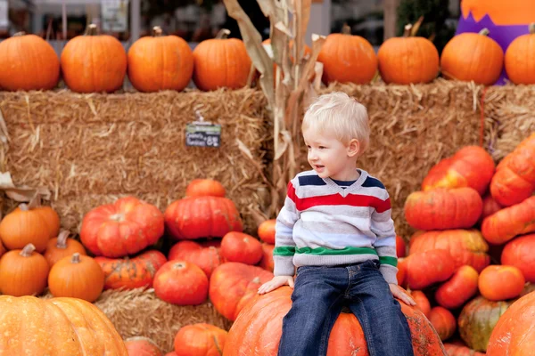 Småbarn på pumpkin patch — Stockfoto