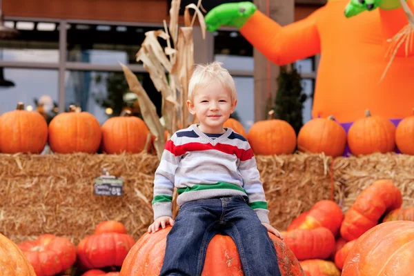 stock image Toddler at the pumpkin patch