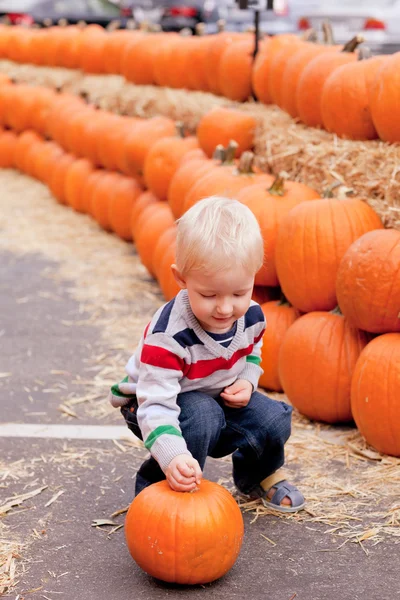 Småbarn på pumpkin patch — Stockfoto